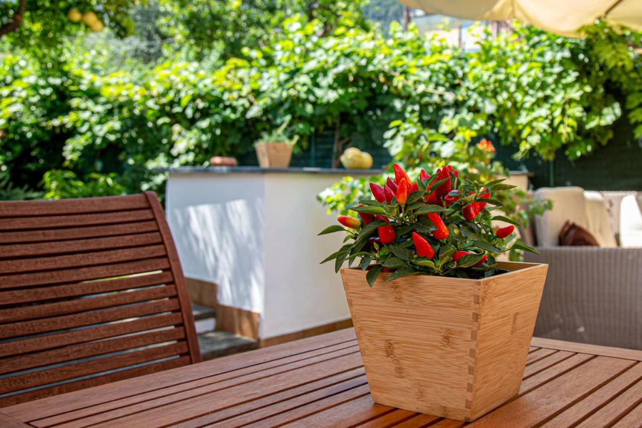 Xenia House Sorrento Ξενοδοχείο Εξωτερικό φωτογραφία
